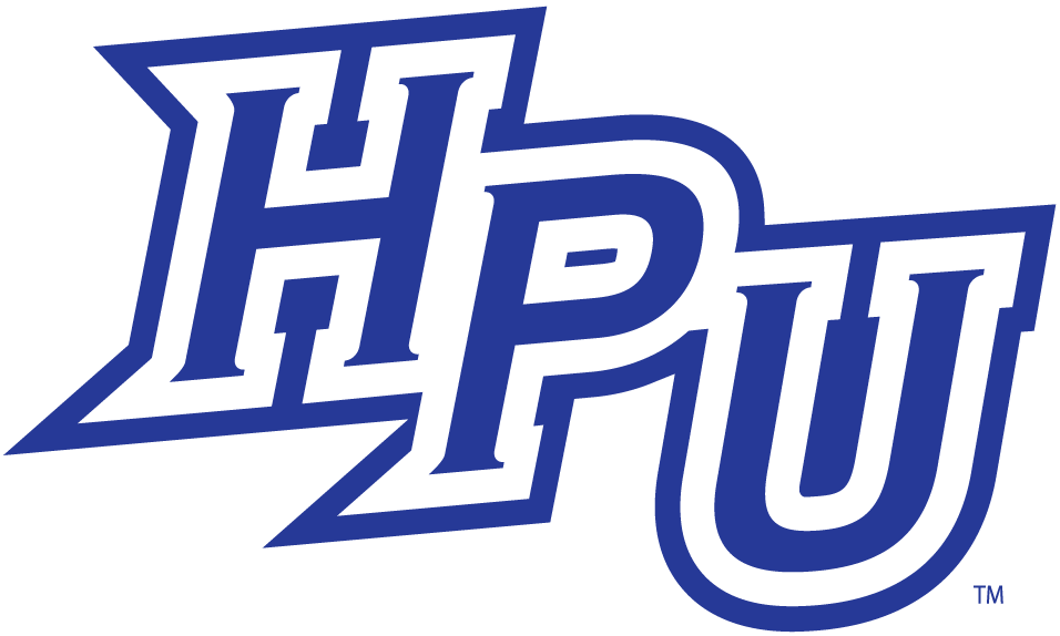 High Point Panthers 2004-2011 Alternate Logo v5 diy fabric transfer